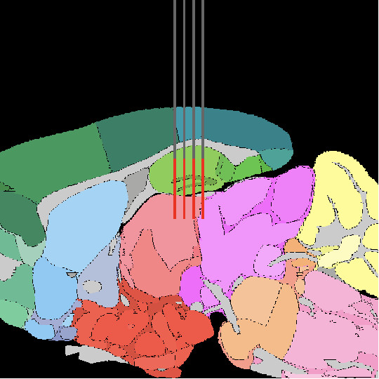 Pinpoint screenshot 3