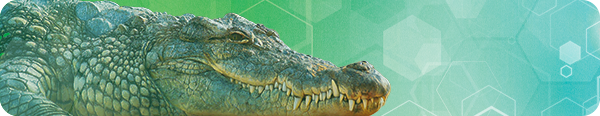 Ark Nova