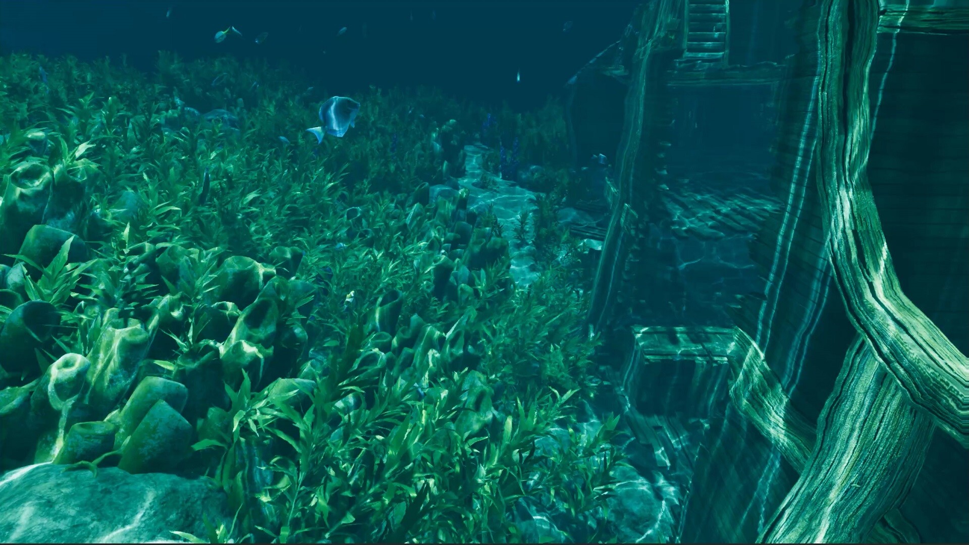 Island Notes screenshot 6