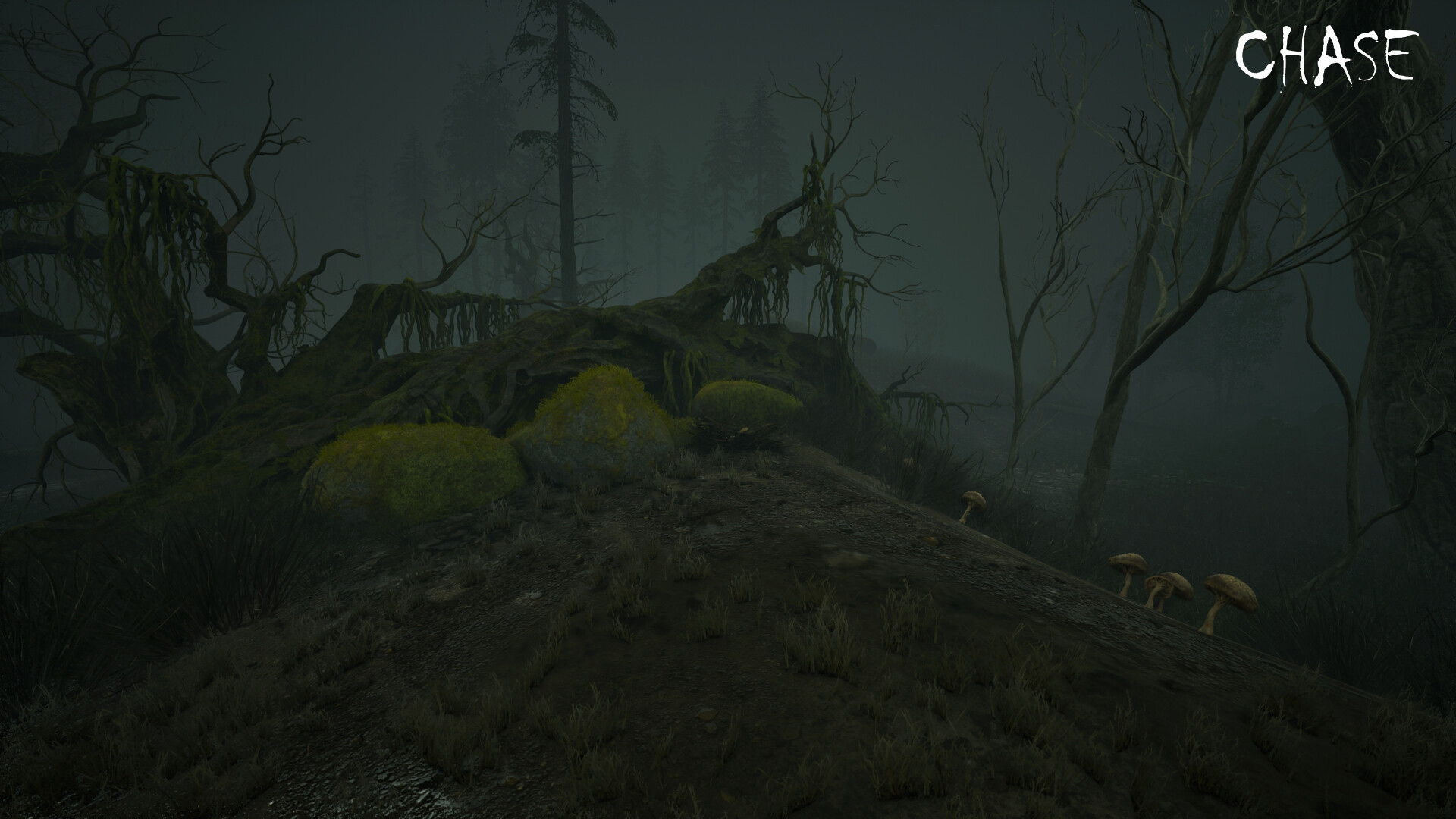 Chase screenshot 16