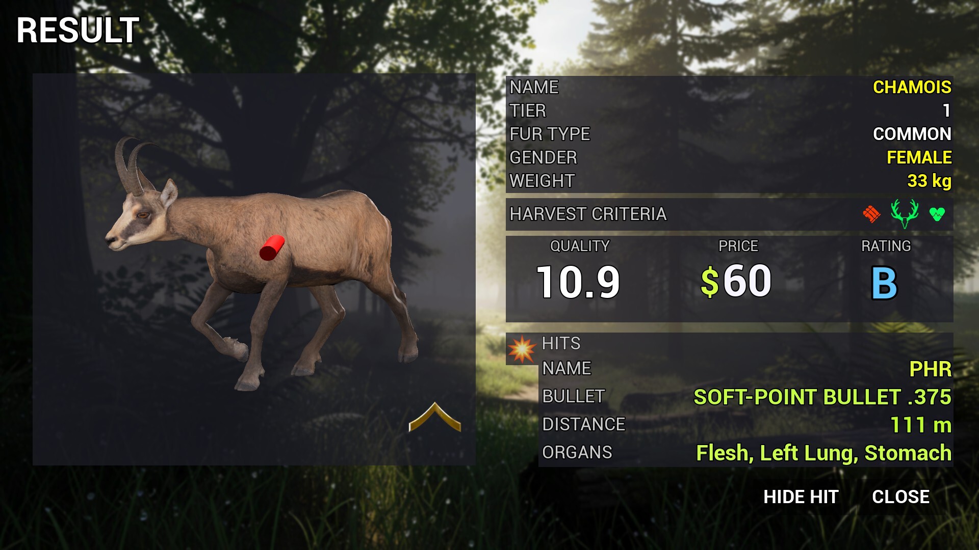 Project Hunt screenshot 9