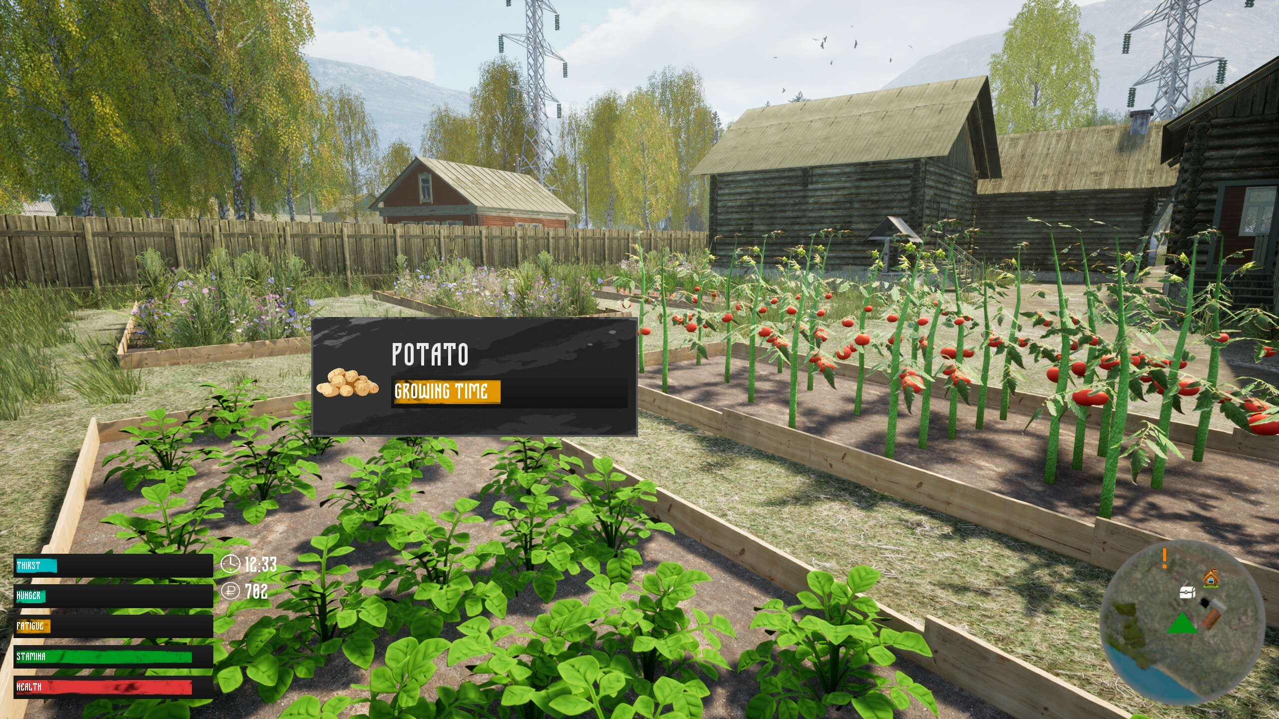 Russian Village Simulator screenshot 7