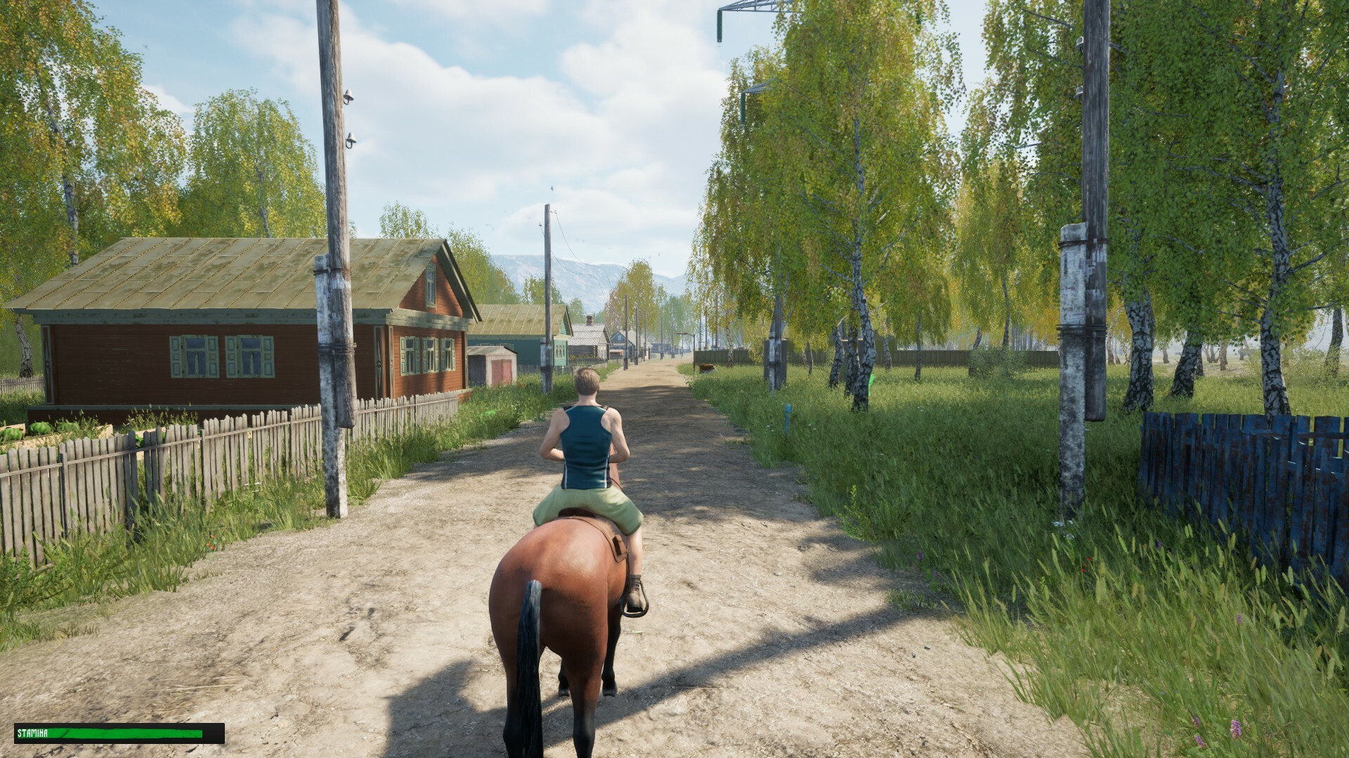 Russian Village Simulator screenshot 15