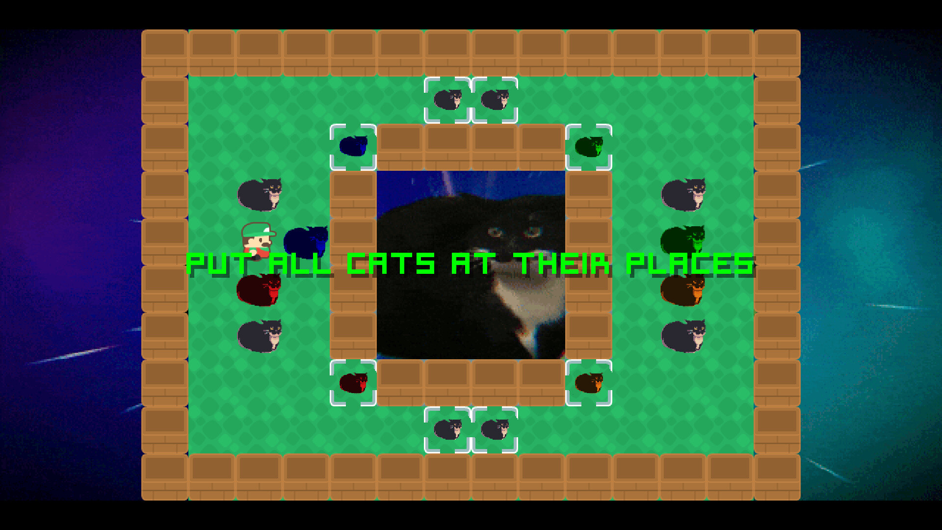Push That Cat!! screenshot 2