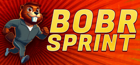 BOBR SPRINT — Steam header