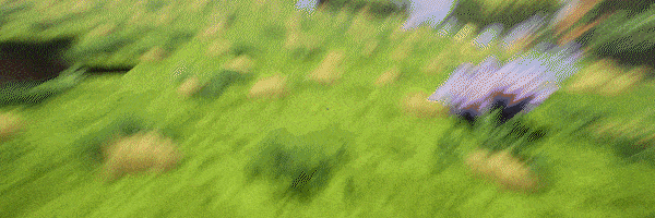 diggy_gif.gif
