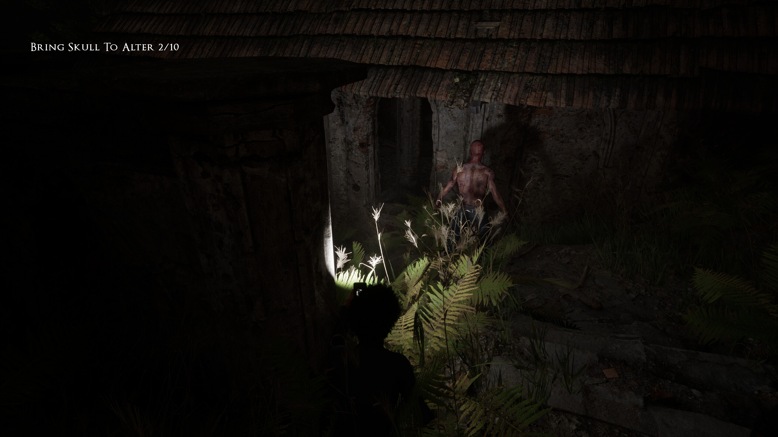 Viral Fear screenshot 13