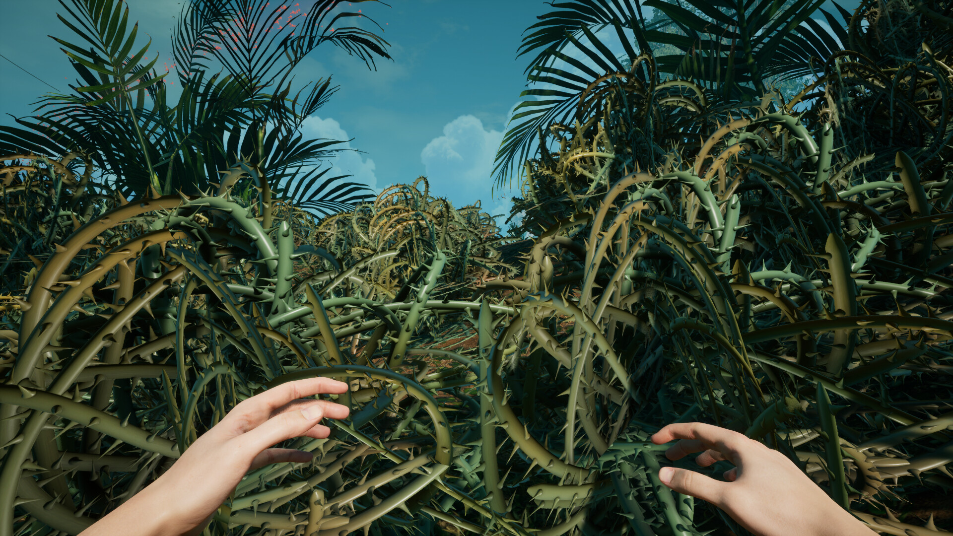 Canopy screenshot 5
