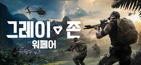 그레이 존 워페어