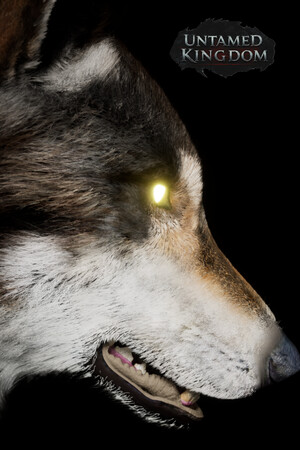 7c14625c-da69-b33b-dffb-8f34ab5820c8