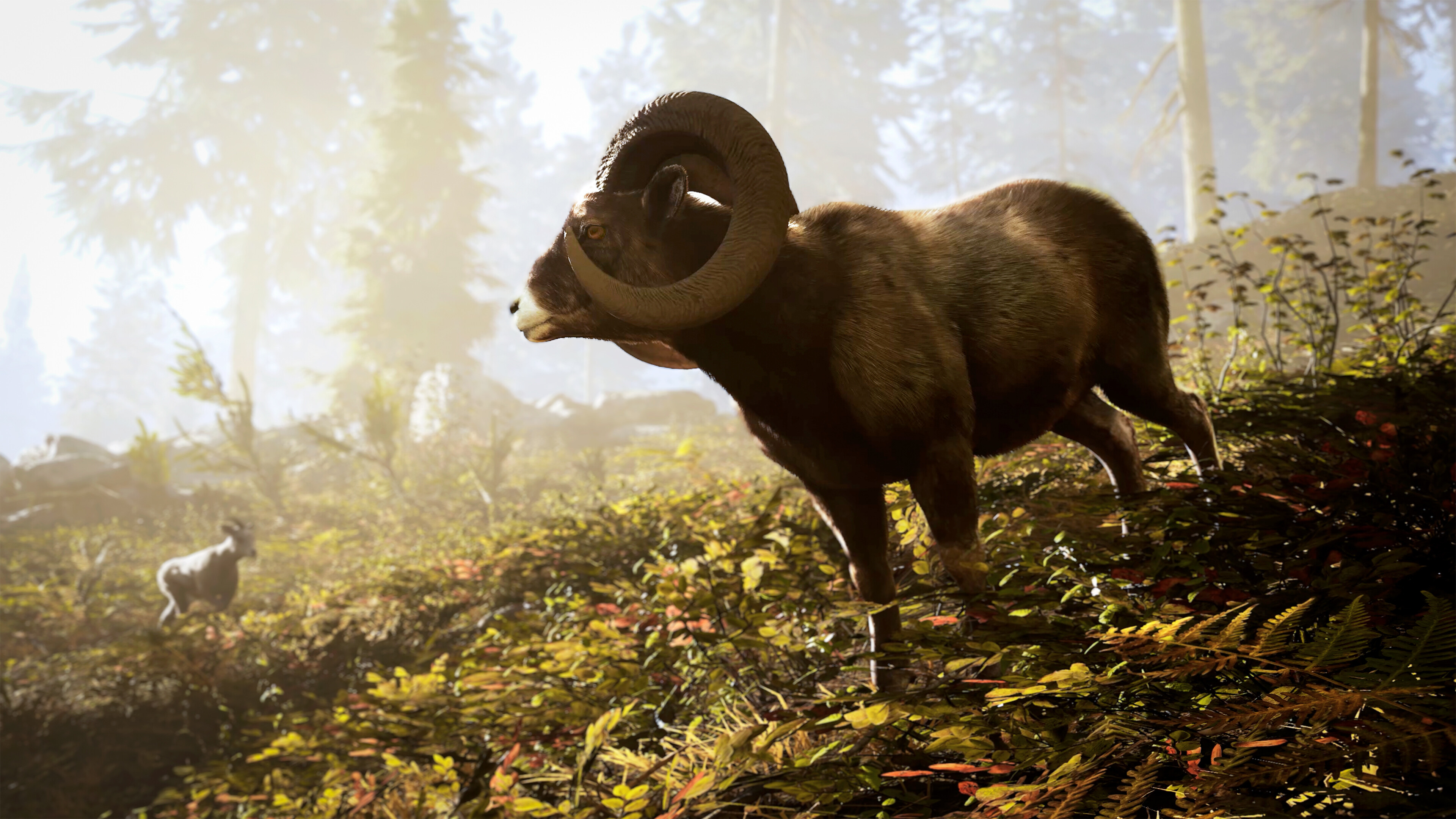 Hunting Simulator 3 screenshot 3