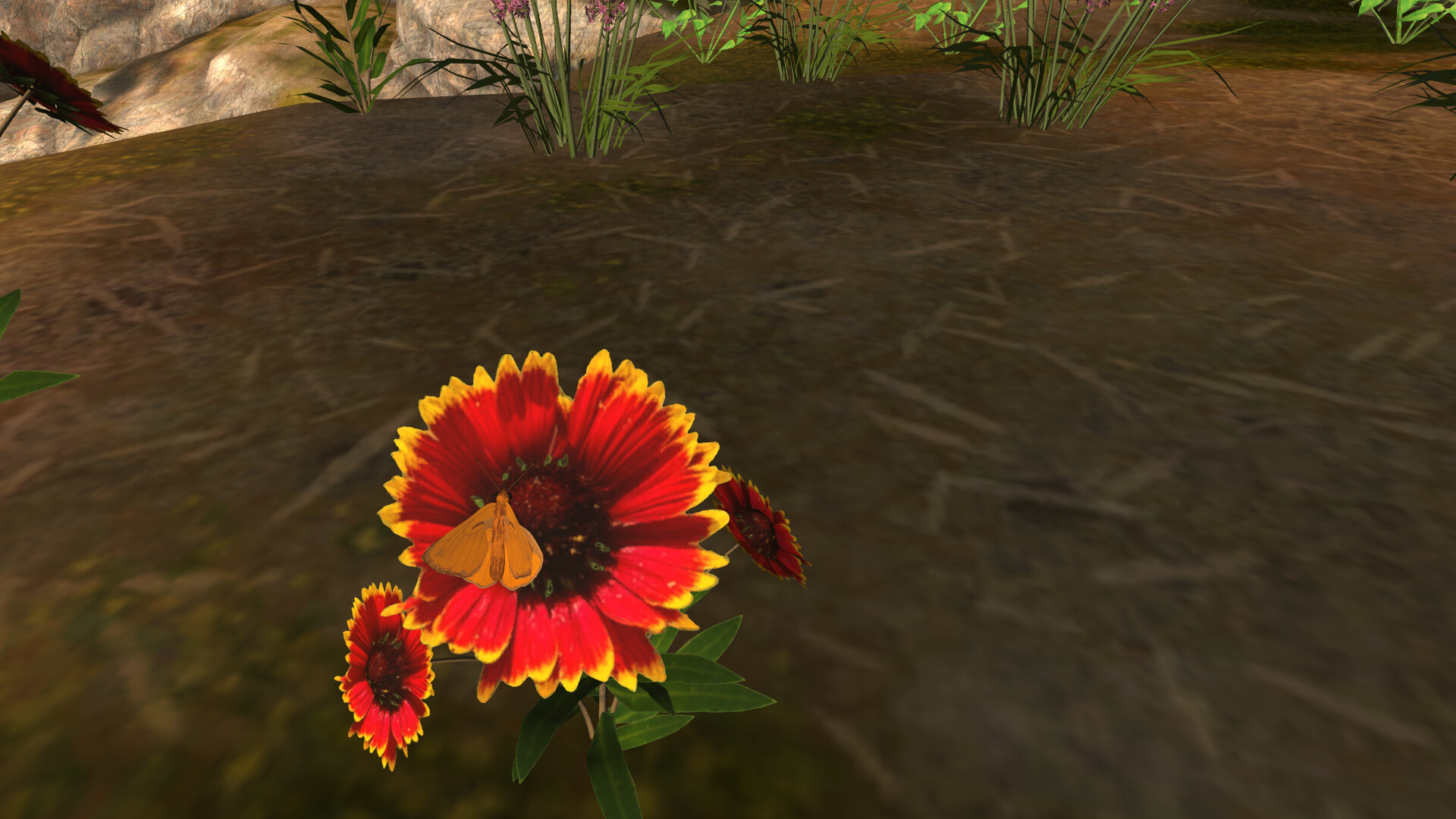 Lepidoptera screenshot 16