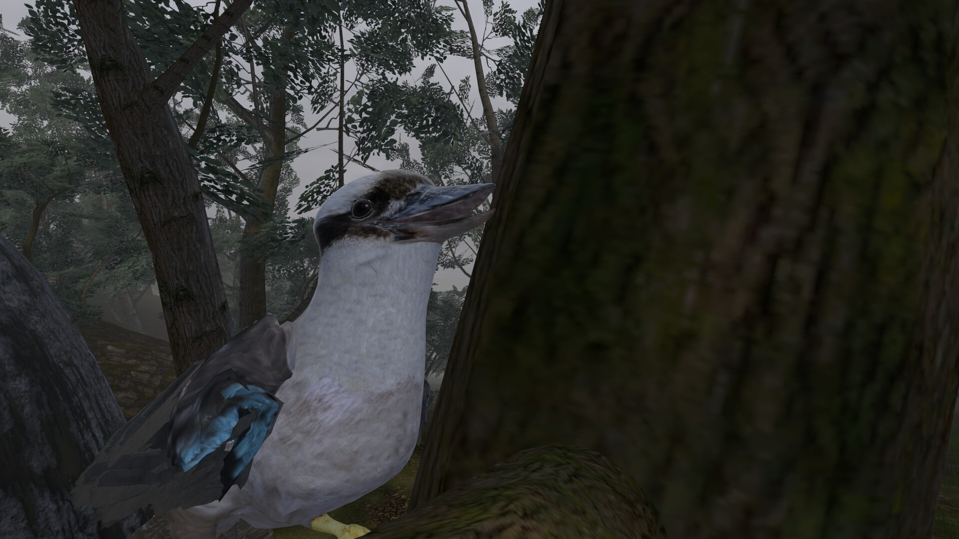 Lepidoptera screenshot 13
