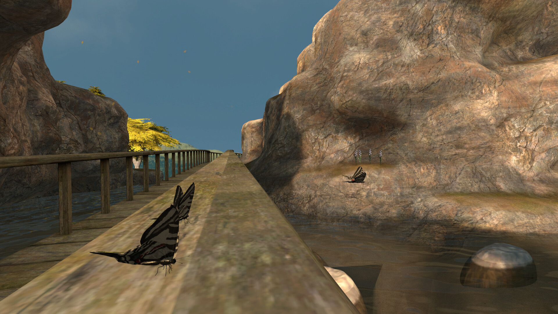 Lepidoptera screenshot 18