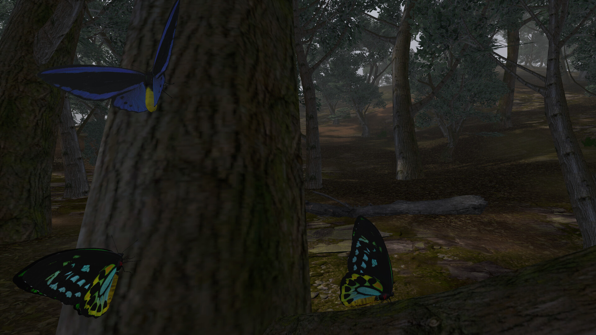 Lepidoptera screenshot 12