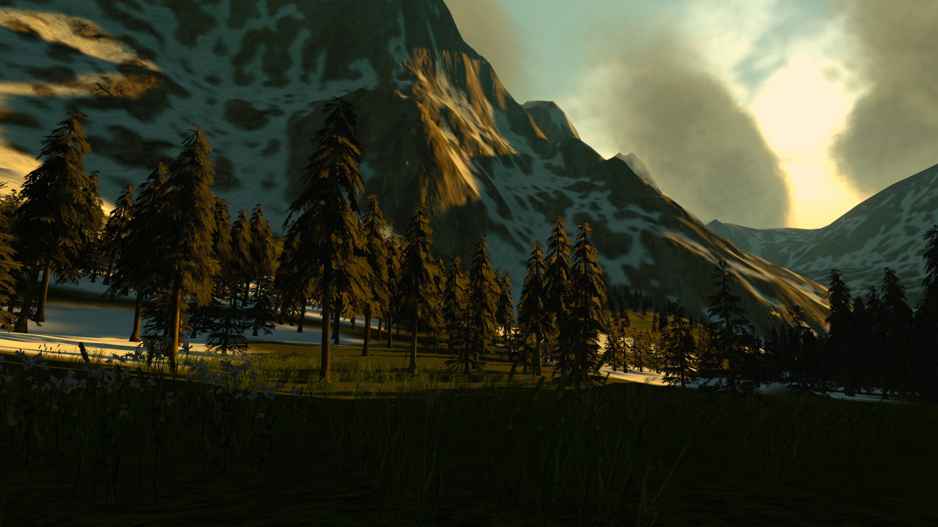 Lepidoptera screenshot 8