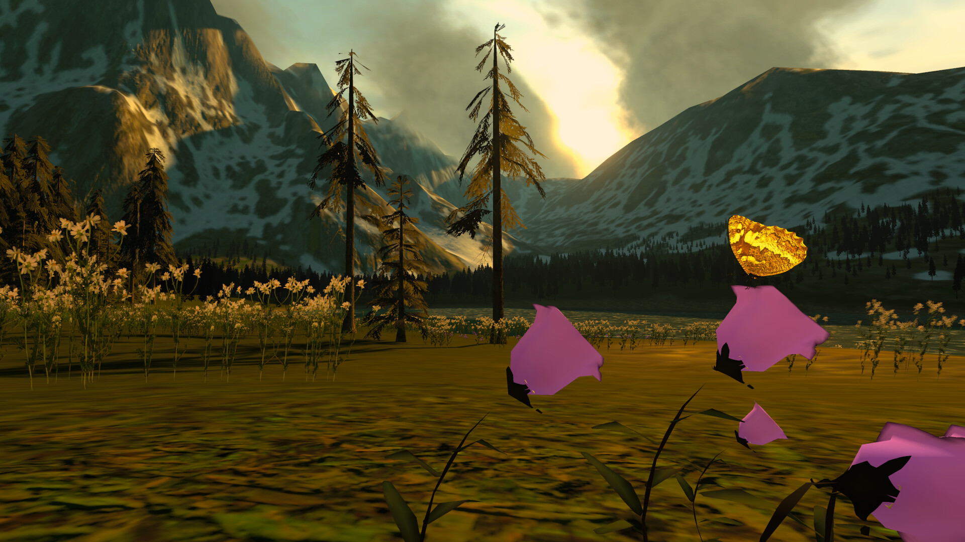 Lepidoptera screenshot 6