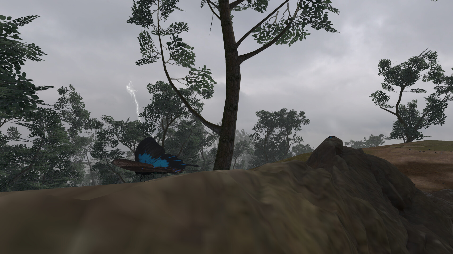 Lepidoptera screenshot 9