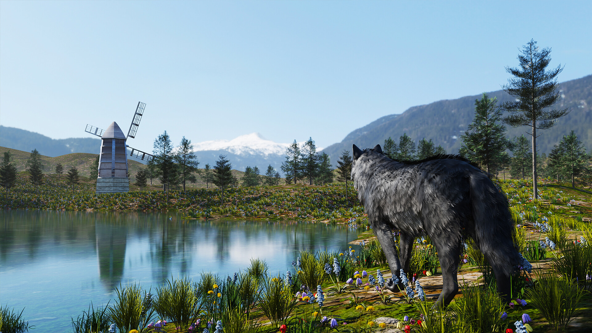 Wolf Simulator RPG screenshot 9