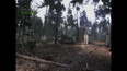 Screenshot #9