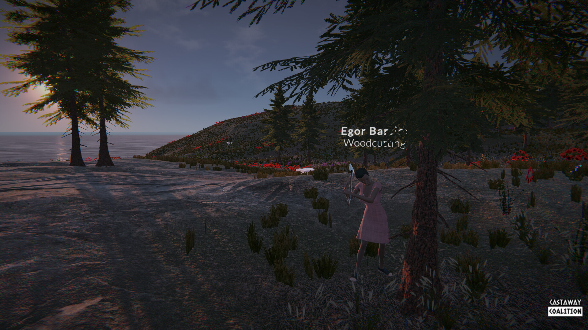 Castaway Coalition screenshot 6