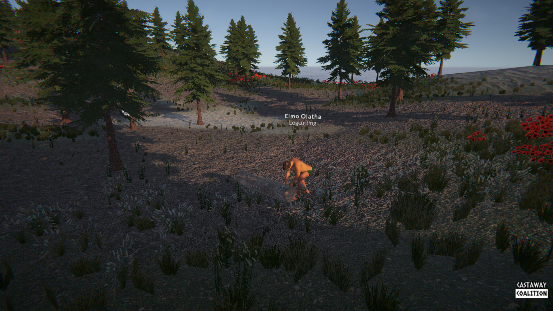 Castaway Coalition screenshot 10