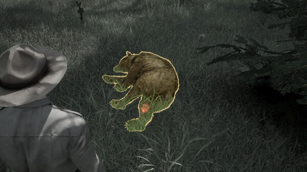 Ranger’s Path: National Park Simulator screenshot