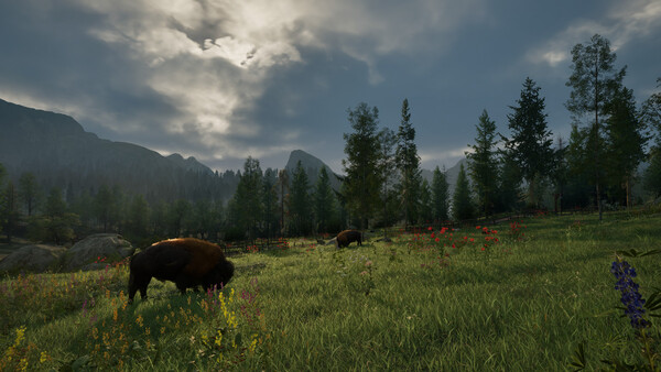 Ranger’s Path: National Park Simulator screenshot