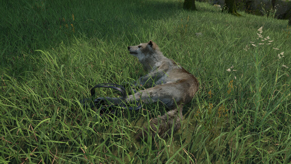 Ranger’s Path: National Park Simulator screenshot