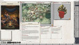 Capture d'écran nº 4