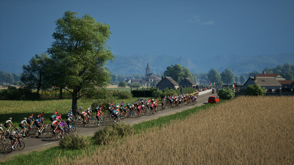Pro Cycling Manager 25 CD Key 2