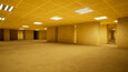 A screenshot of SKIBIDI BACKROOMS