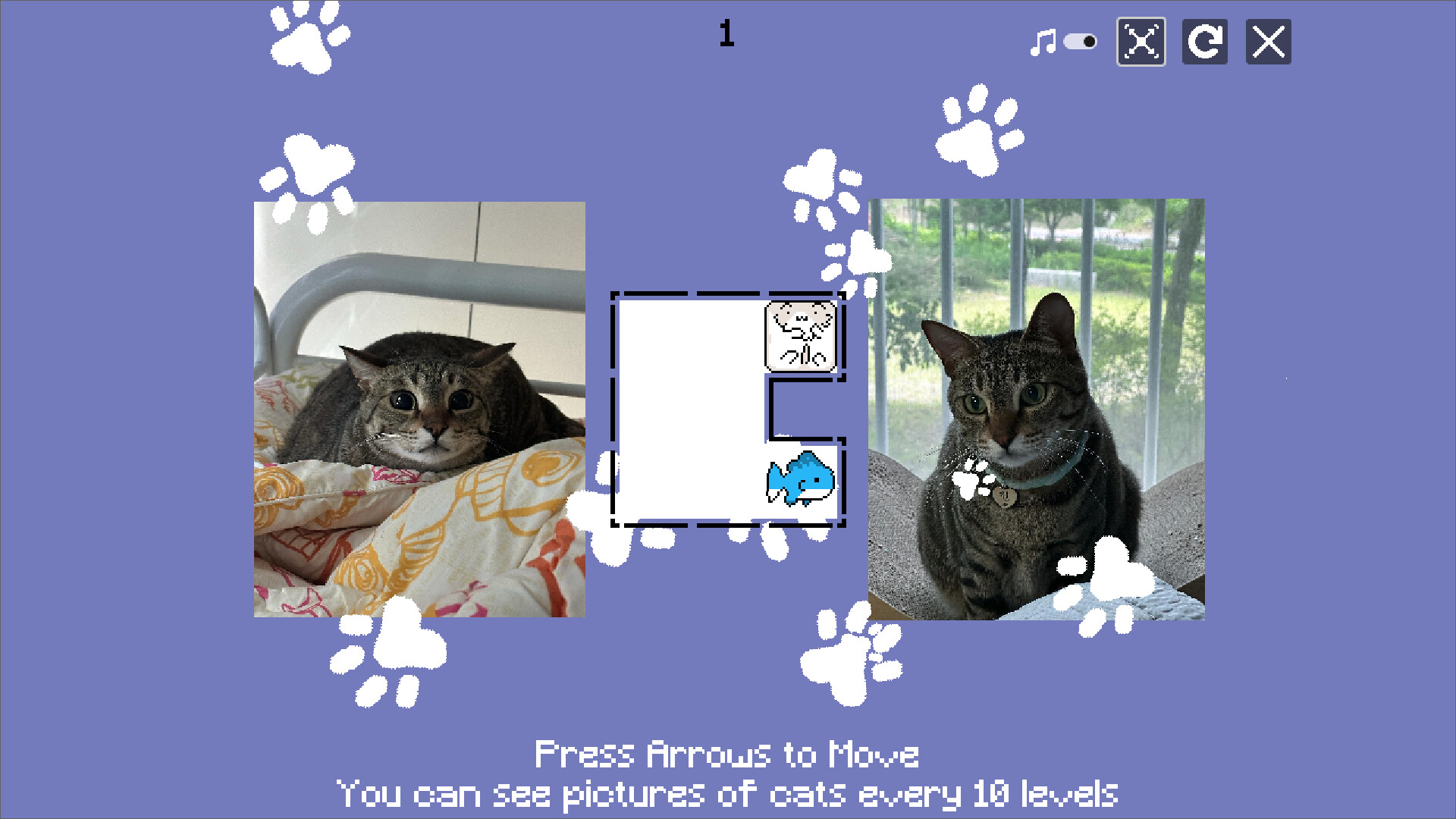 JustWatchMyCat - Support screenshot 4