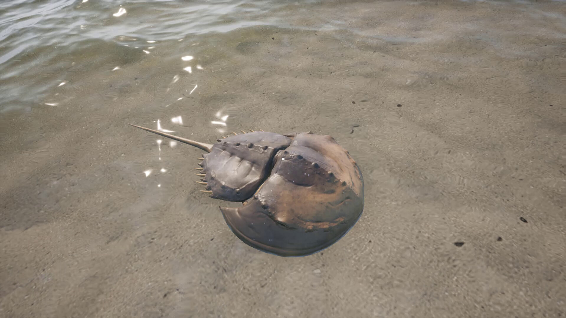 King Crab screenshot 8
