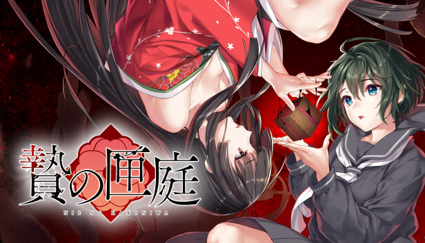 激レア】ニンテンドーDSソフト 亜鉛の匣舟(あえんのはこぶね