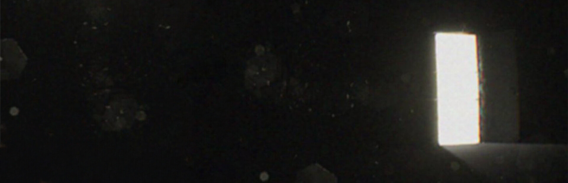 Capsule