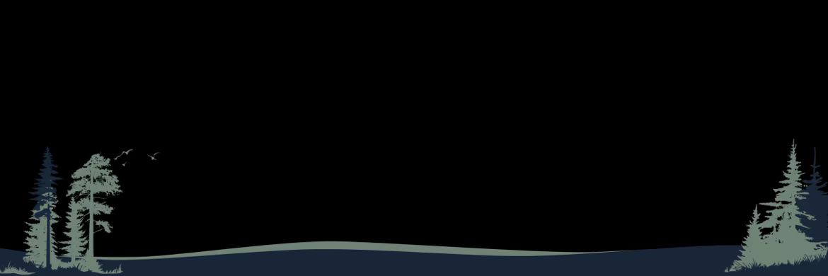 猎人之路 2 Way of the Hunter 2