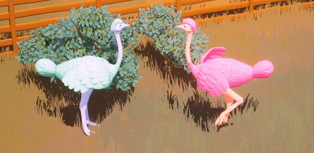 Ostrich Farm