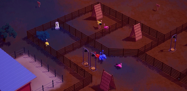 Ostrich Farm