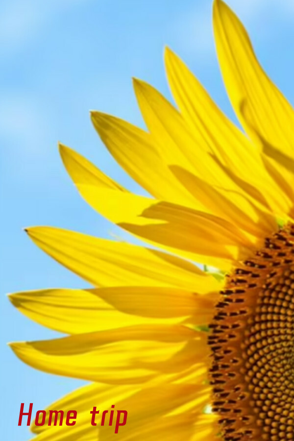 eca6fb4d-0d76-7b06-7b53-e796a6378fe2