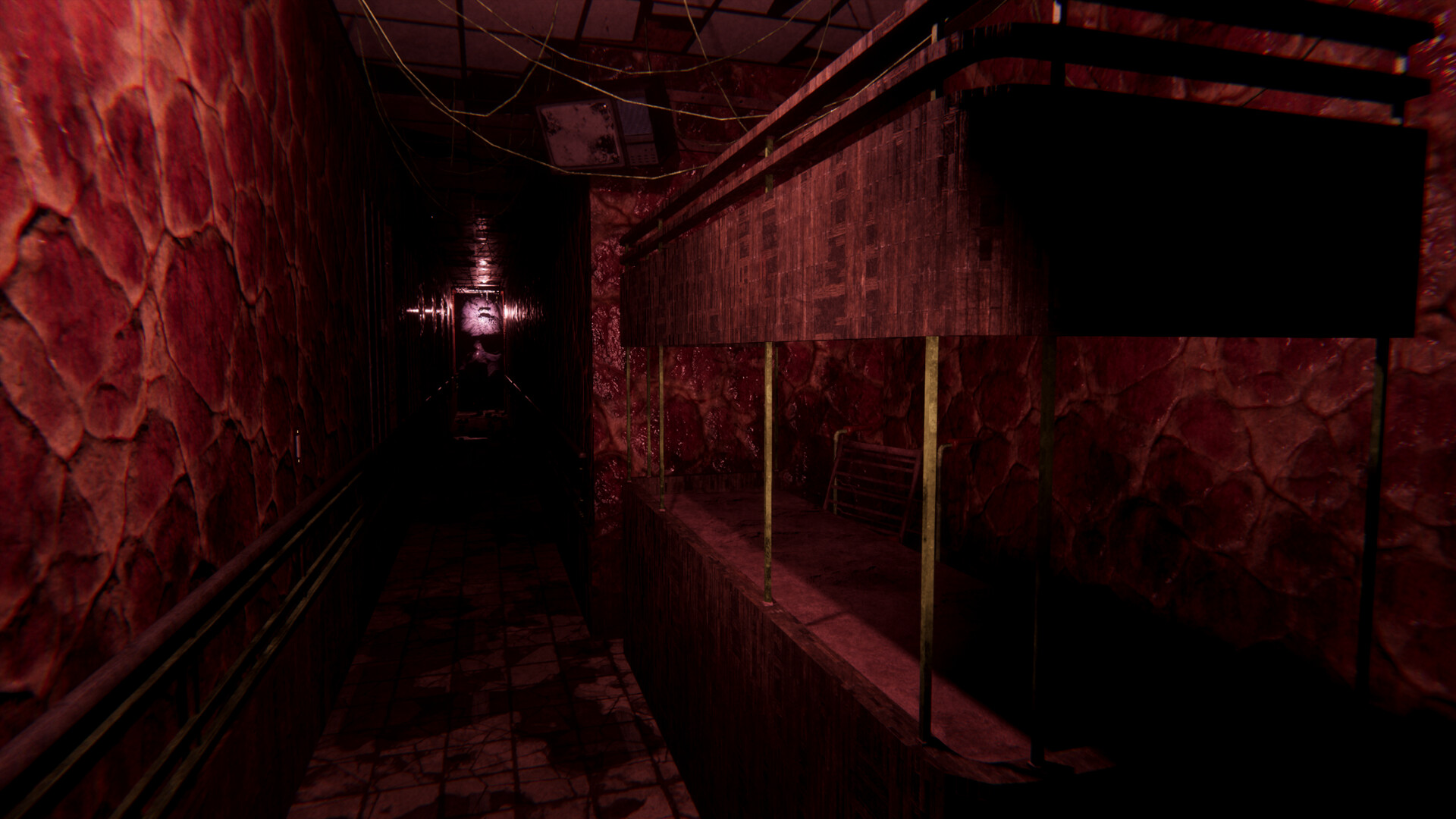 Sorrow Asylum 2 screenshot 8