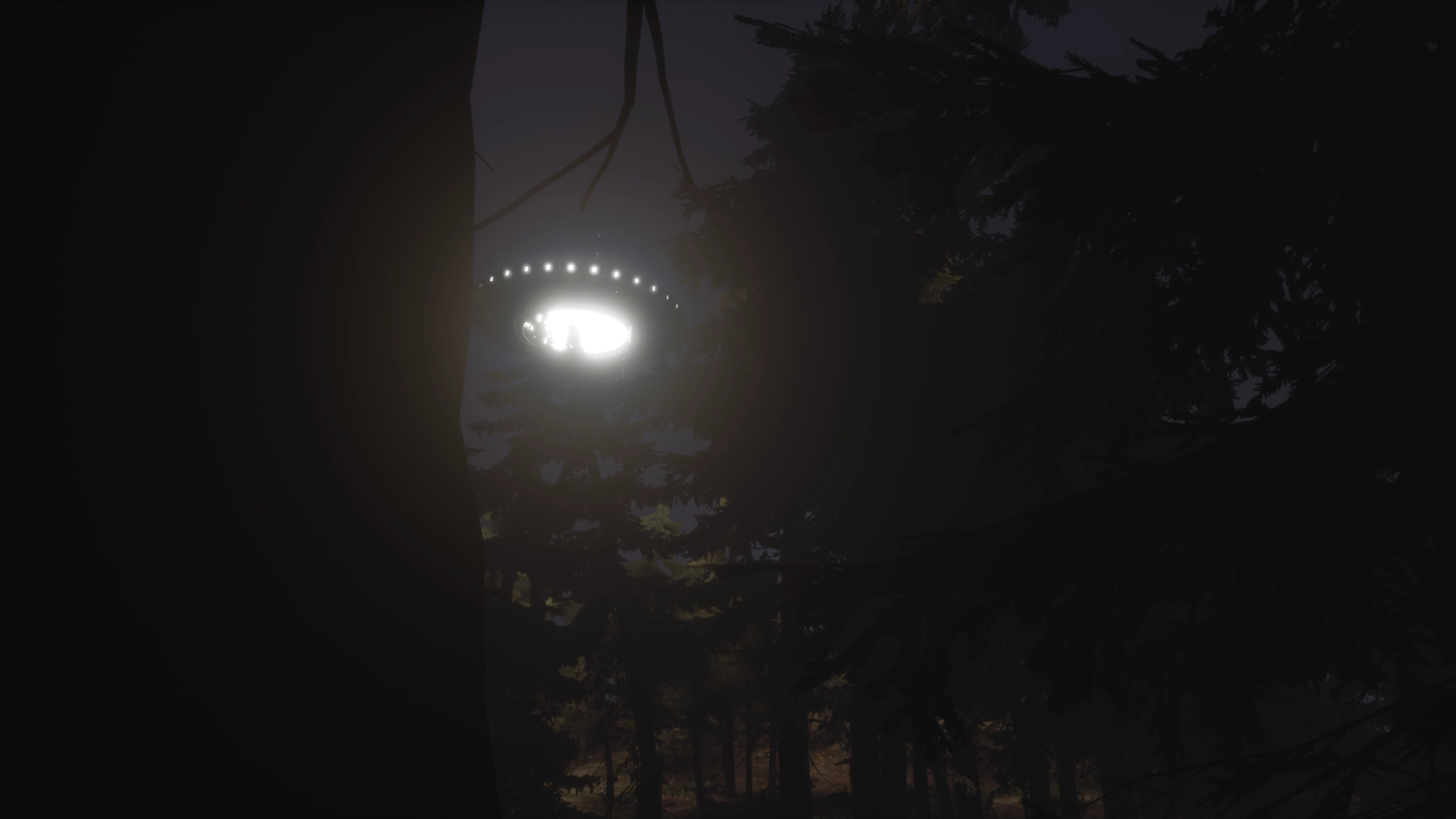 Unexpected Visitors screenshot 3