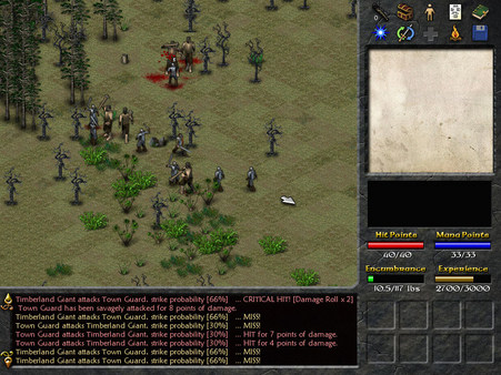 Eschalon: Book I screenshot
