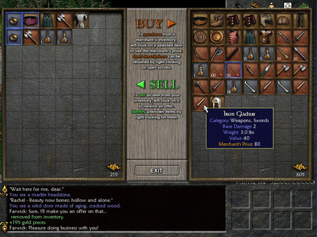 Eschalon: Book I screenshot