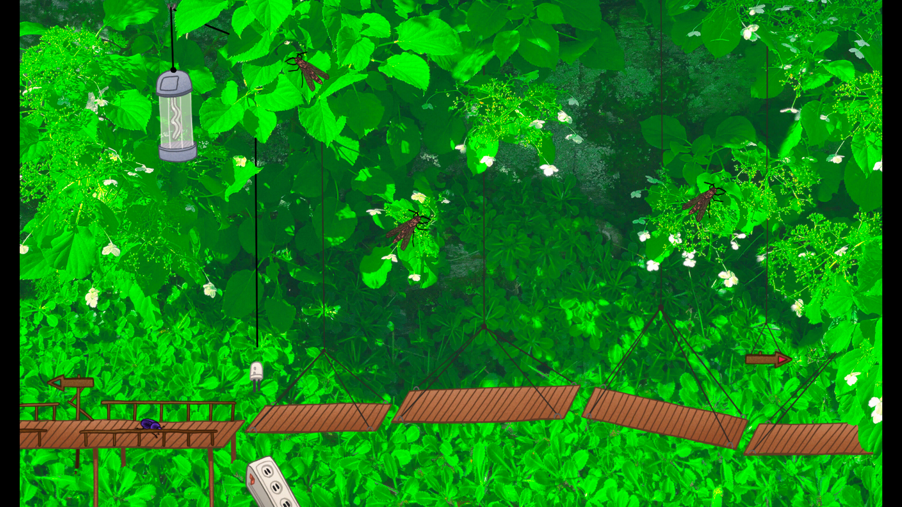 Dung Beetle Adventure screenshot 5