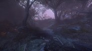 Gameplay | The Cursed Forest gameplay trailer