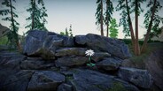 Gameplay | pv