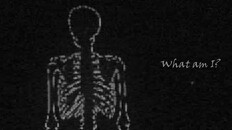 Teaser | Empty Skull Teaser
