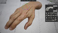 A screenshot of HAELE 3D - Handposen Lite - Zeichenreferenzen