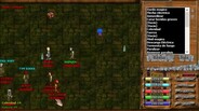 Gameplay | Argentum Forever